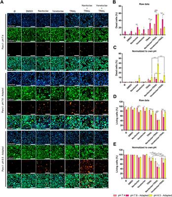 Impact of Extracellular pH on Apoptotic and Non-Apoptotic TRAIL-Induced Signaling in Pancreatic Ductal Adenocarcinoma Cells